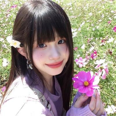 挎斗摩托车里的狗